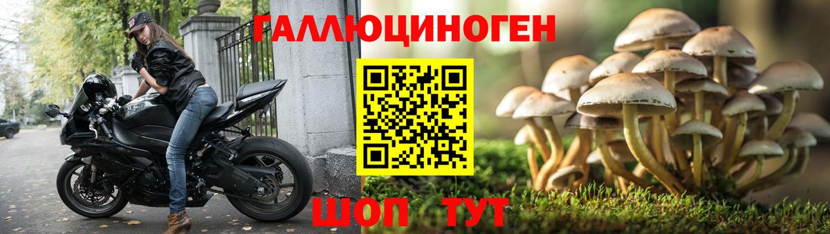 Галлюциногенные грибы GOLDEN TEACHER Сатка